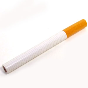 笛シークレットケース